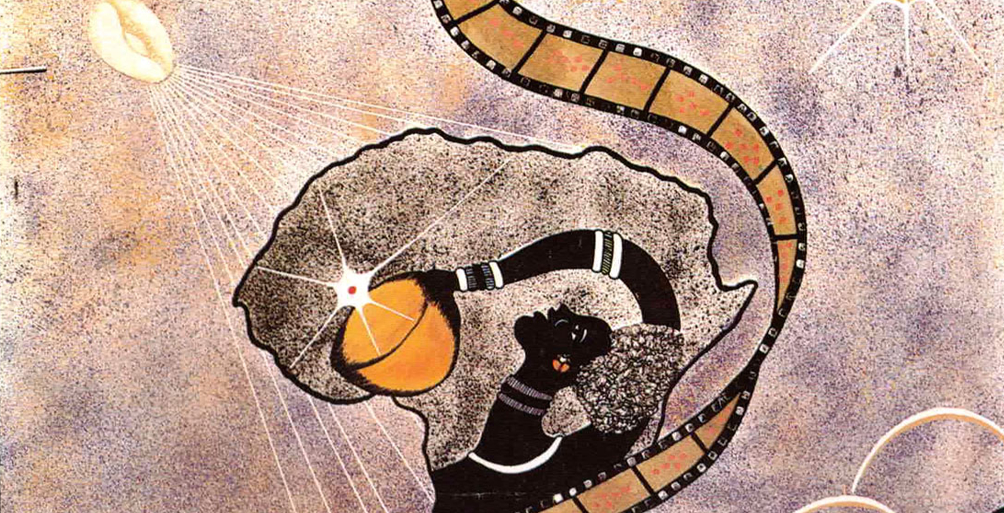 CAMÉRA D'AFRIQUE