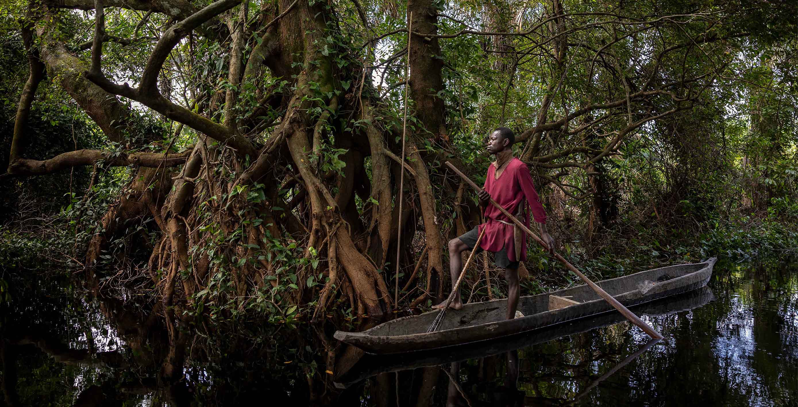 LA FORÊT DU CONGO : DERNIER POUMON VERT DE LA PLANÈTE